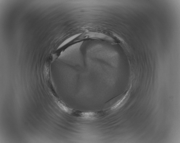 X0000080760192200701051246