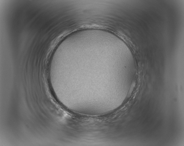 X0000080760193200701051245