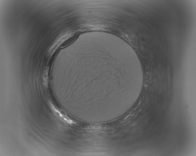 X0000080760194200701051245