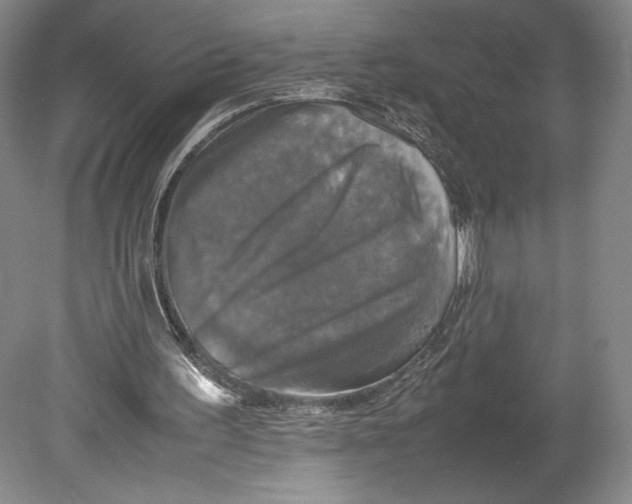 X0000080760195200701051245