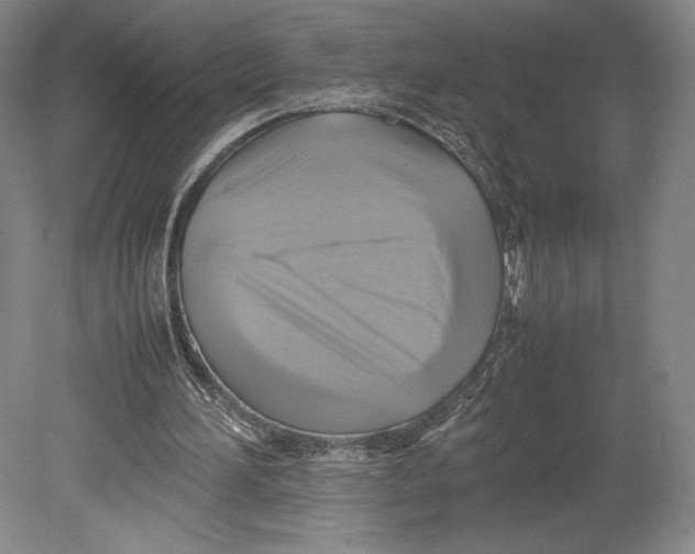 X0000080760196200701051245