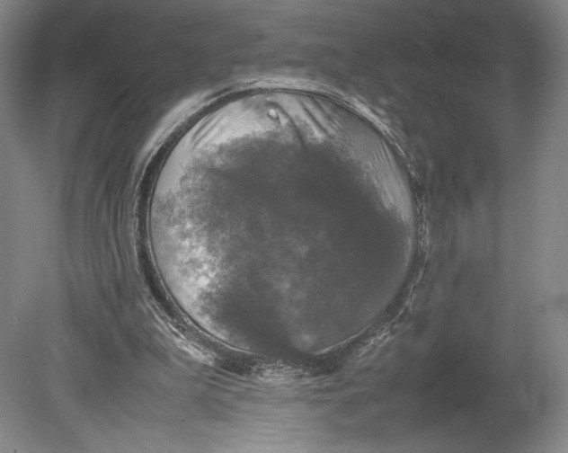 X0000080760199200701051245