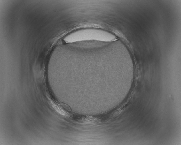 X0000080760201200701051245