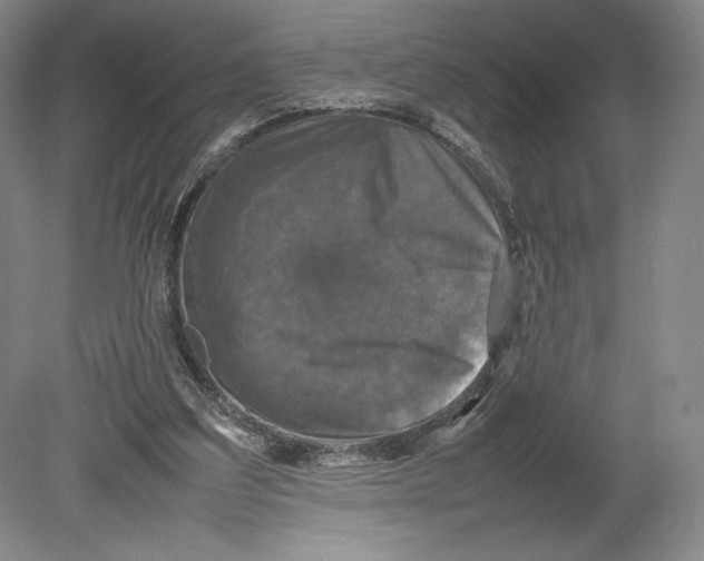 X0000080760203200701051245