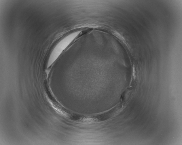 X0000080760205200701051245