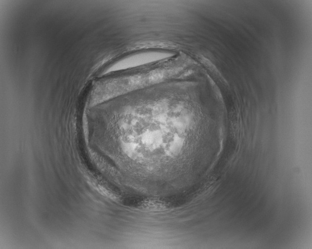 X0000080760207200701051244