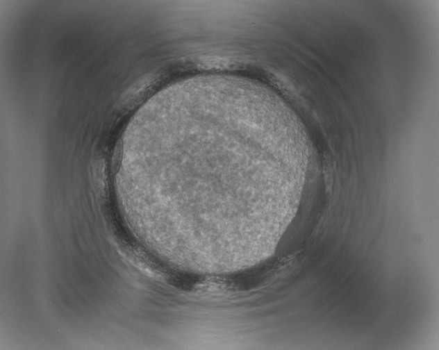 X0000080760211200701051244