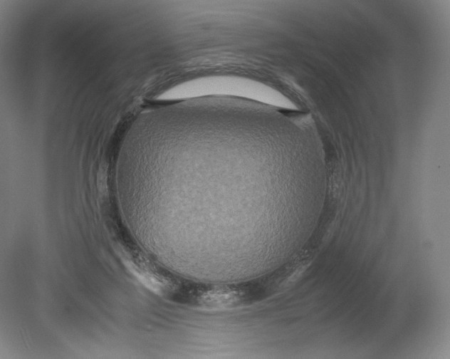 X0000080760213200701051244