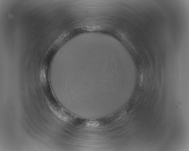 X0000080760214200701051244