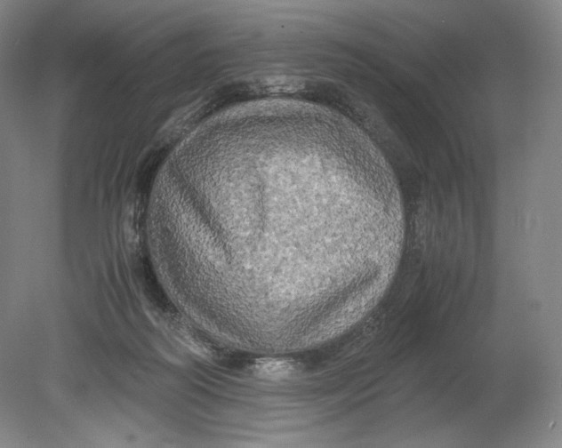 X0000080760218200701051244