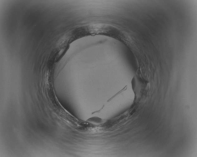 X0000080760219200701051244