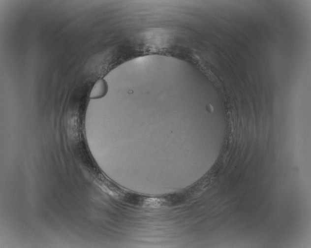 X0000080760222200701051244