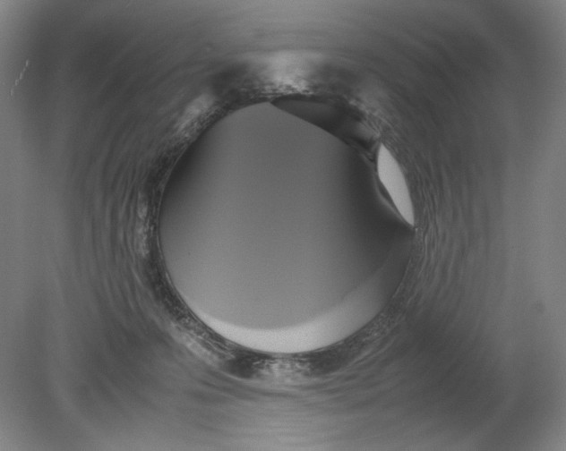 X0000080760223200701051244