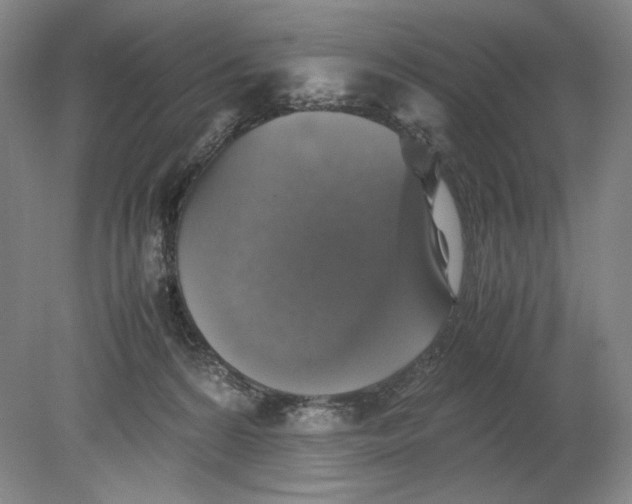 X0000080760224200701051244