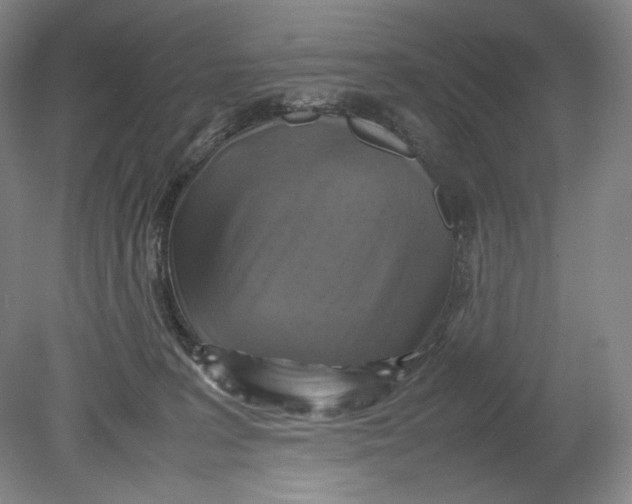 X0000080760227200701051244