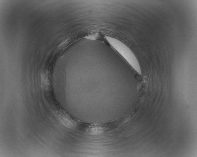 X0000080760228200701051244