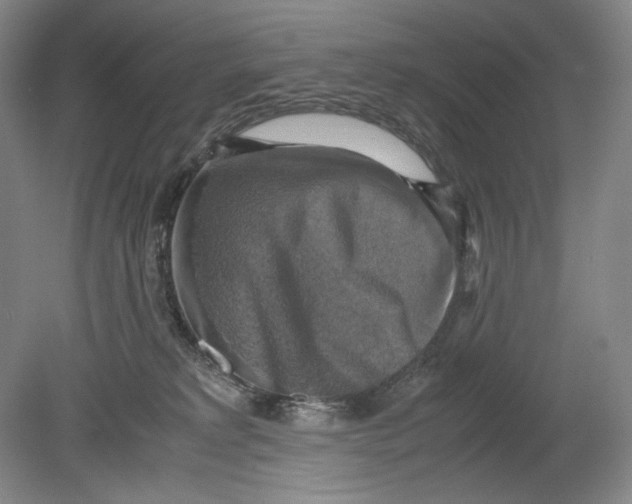 X0000080760229200701051244