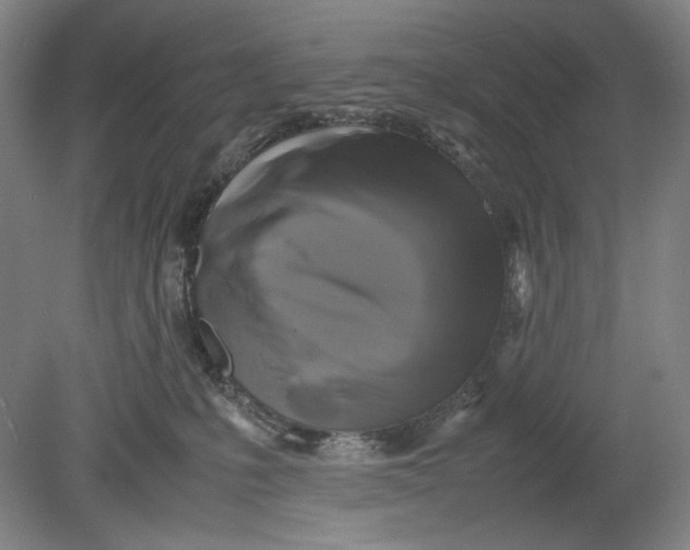 X0000080760231200701051244