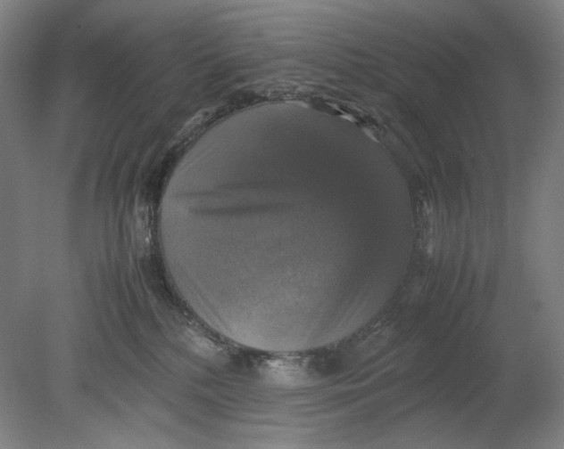 X0000080760232200701051244