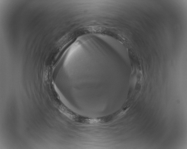 X0000080760233200701051244