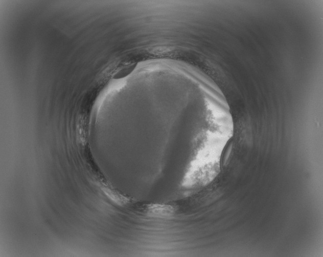 X0000080760234200701051244