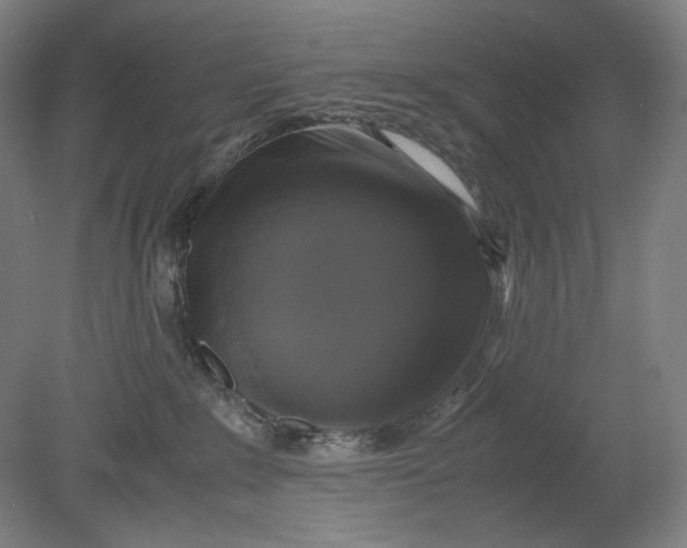 X0000080760235200701051244
