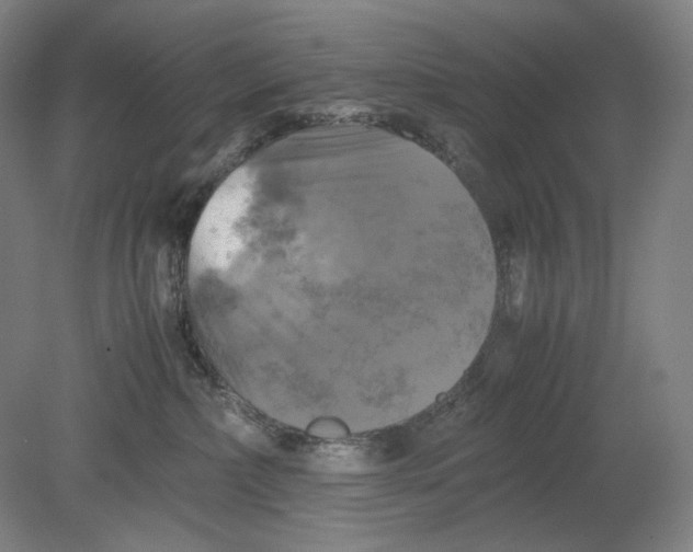 X0000080760236200701051244