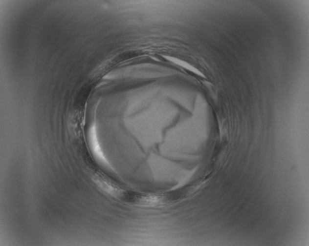 X0000080760237200701051244