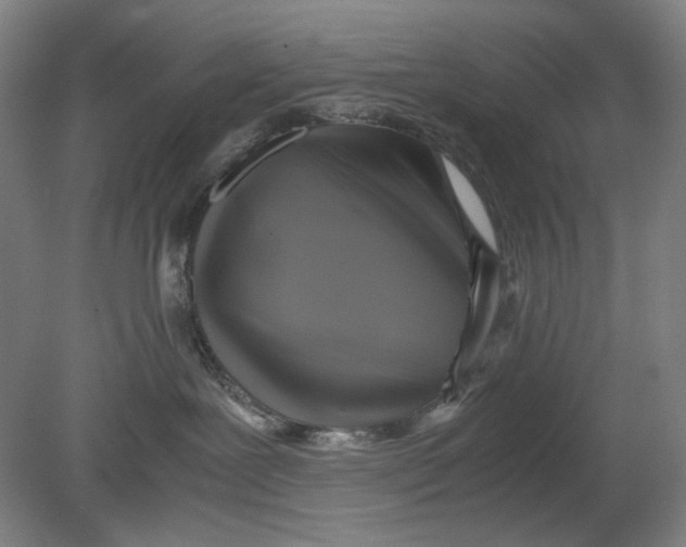 X0000080760239200701051244
