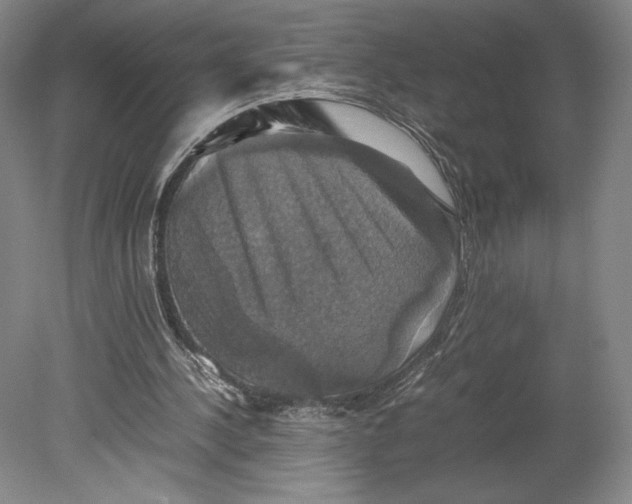 X0000080760244200701051243