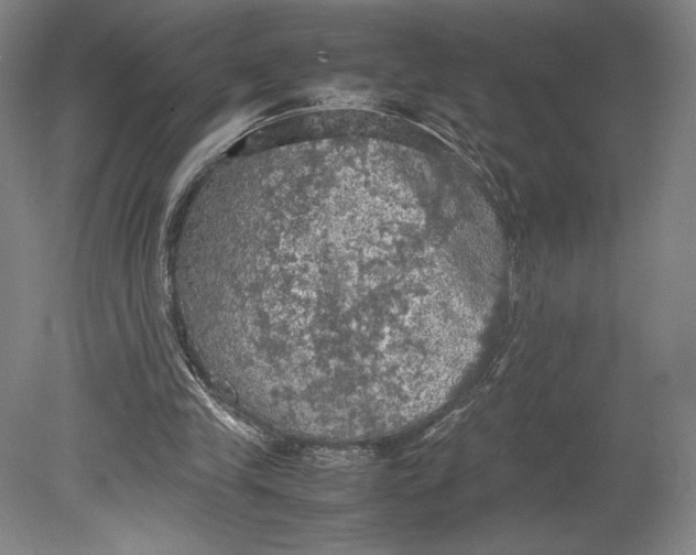 X0000080760245200701051243