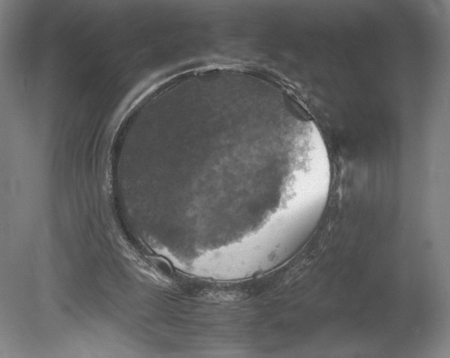 X0000080760247200701051243