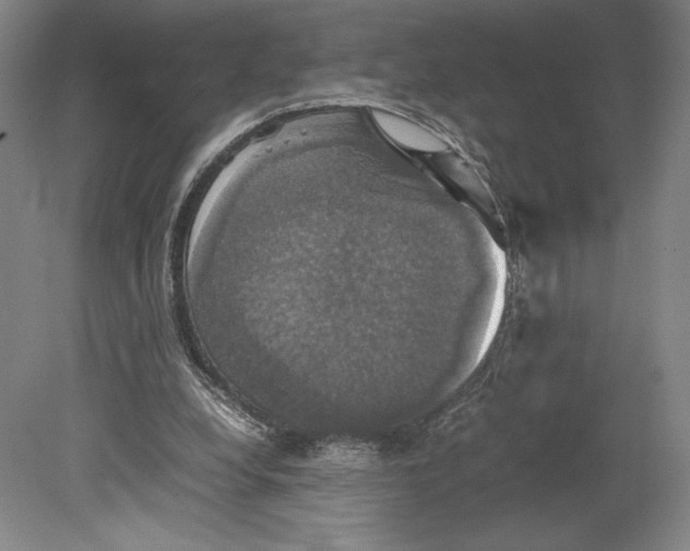 X0000080760248200701051243