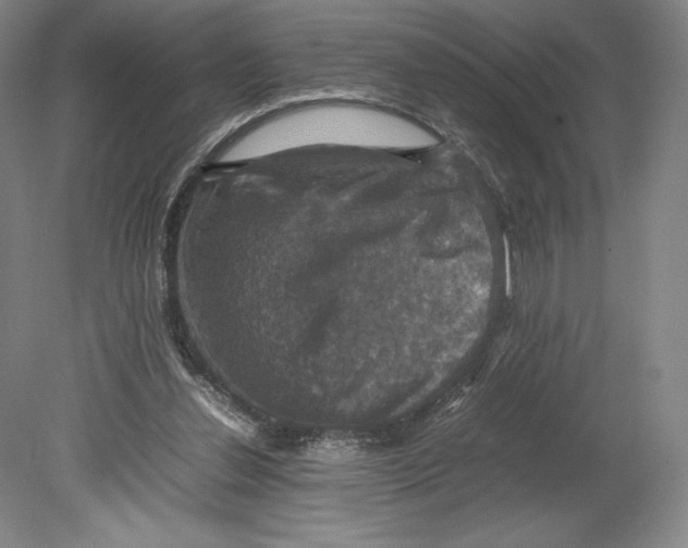 X0000080760252200701051243
