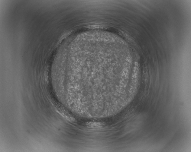 X0000080760255200701051243