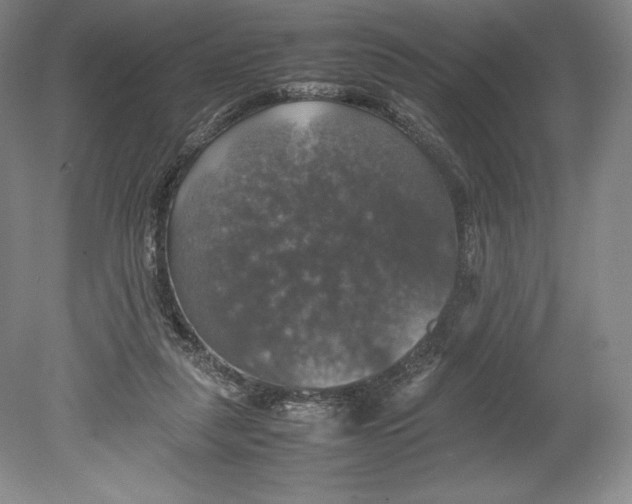 X0000080760259200701051243