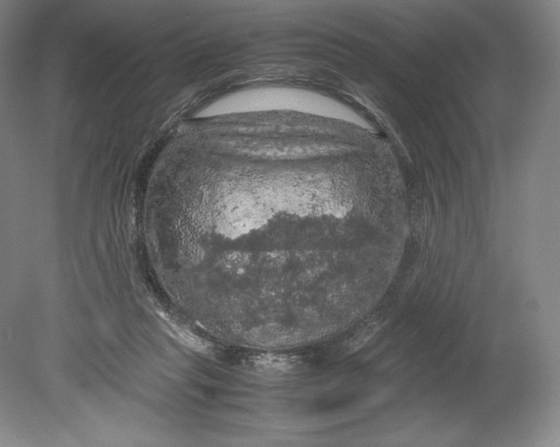 X0000080760261200701051243