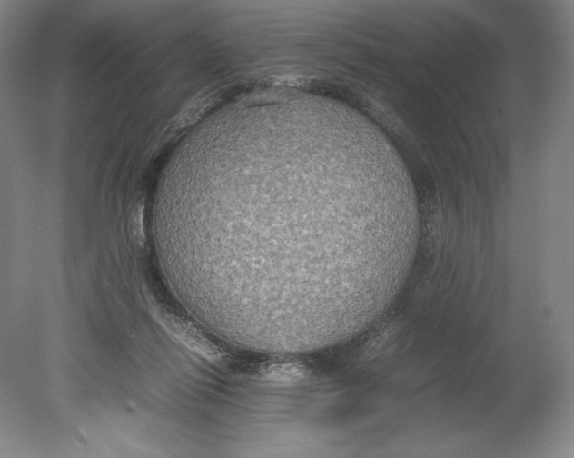 X0000080760262200701051243