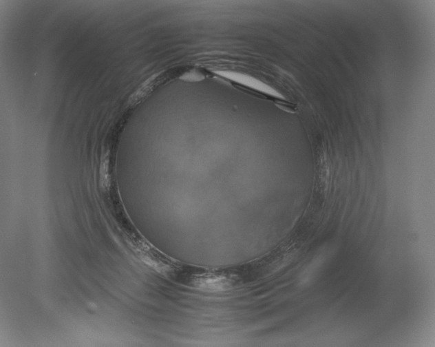 X0000080760267200701051244