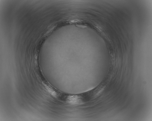 X0000080760269200701051244