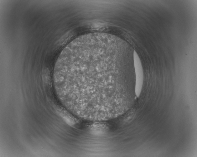 X0000080760270200701051244