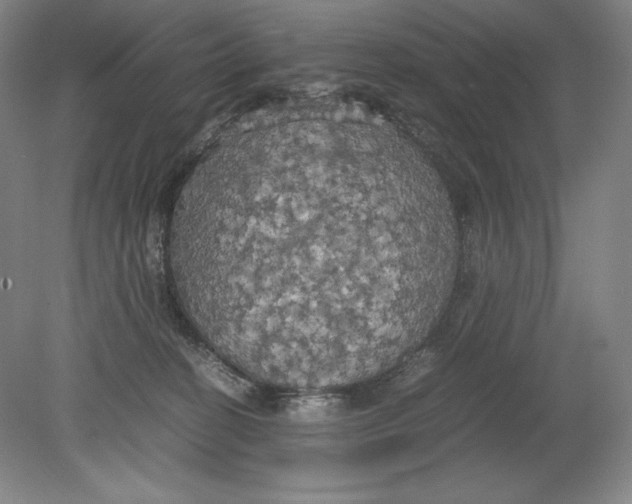 X0000080760274200701051244