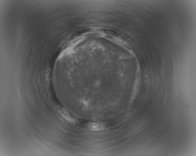 X0000080760275200701051244