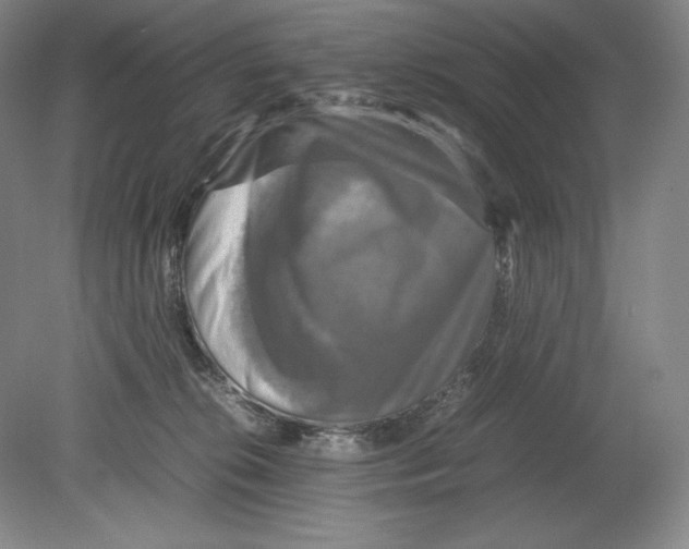 X0000080760276200701051244
