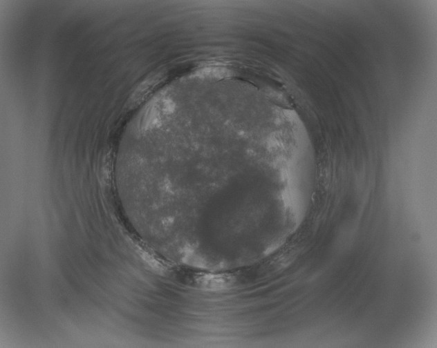 X0000080760277200701051244