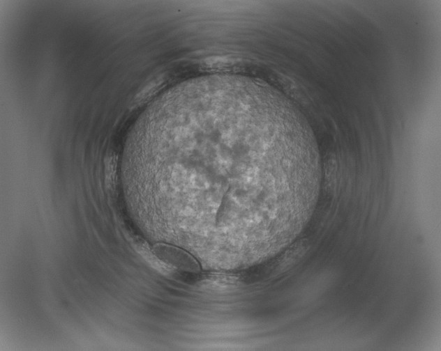 X0000080760278200701051244