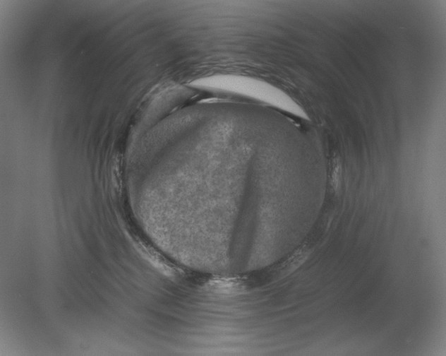 X0000080760280200701051244