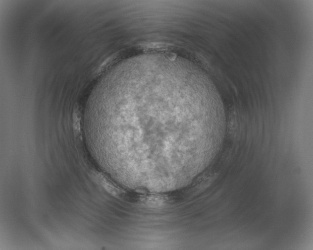 X0000080760282200701051244