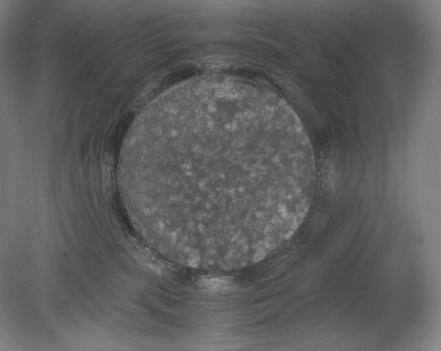 X0000080760283200701051244
