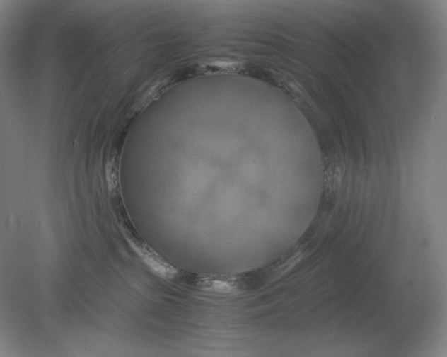 X0000080760285200701051244